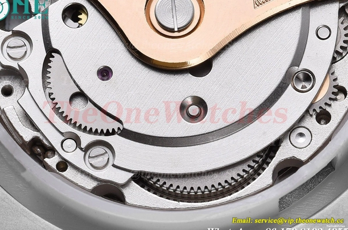41mm SS MY8215 GDF Oak 1017 White Royal SS Dial 0524